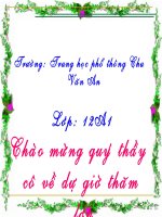 GIÁO ÁN LỊCH SỬ VN  BÀI 13