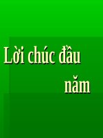 loi chuc dau nam