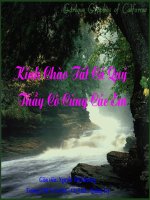 BẢO VỆ DI SẢN VĂN HÓA- TIẾT 25