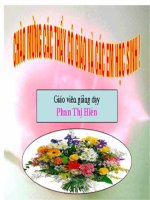 bai 31 CM tư sản Pháp (tiét 1)