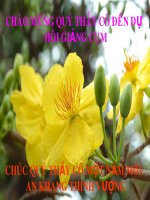 LT&C Trật tự An ninh