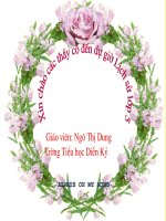 Bai 17 - Tuan 19. Chien thang lich su Dien Bien Phu