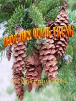 tiet 50 - HAT TRAN CAY THONG