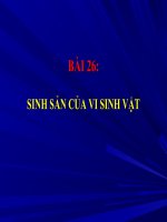 Bai 26 Sinh san VSV