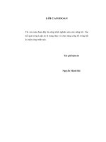 Mô hình chuỗi thời gian phi tuyến (STAR) trong phân tích và dự báo các chỉ tiêu kinh tế vĩ mô ở việt nam (2)