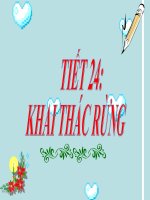 QUANG SPCN B:24 CN 7