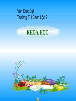 KHOA HOC 5 - TR E, MAY,  SONG