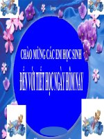 Tiết 133 - Chương trình địa phương (Phần Tiếng Việt)