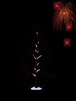 Chương II. Bài 12. Lực đàn hồi