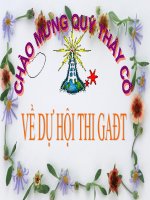 TNXH LOP 3: RỄ CÂY