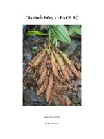 Cây thuốc Đông y - BÁCH BỘ pps