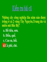 Tiết 35 địa lí 9