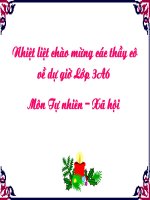 Bài 46:Khả năng kì diệu của lá cây