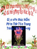 Bai tap doc - Tieng dan