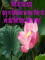 Đêm nay Bác không ngủ BS