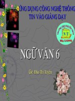 câu trần thuật đơn