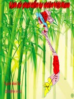 Tiết:29 Lịch sử phát triển của tự nhiên Việt Nam