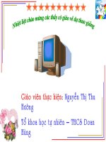 Tiết 51 (bài tập)- Tin 6