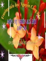 Tuần 25 Động vật