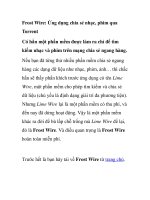 Frost Wire: Ứng dụng chia sẻ nhạc, phim qua Torrent potx