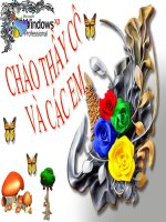 bai 38 sinh 11 co ban rat hay