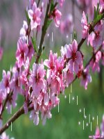 Gop y giup ve bai cong thuc ngiem pt b2