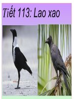Tiết 113: Lao xao