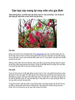 Các loại cây mang lại may mắn cho gia pdf