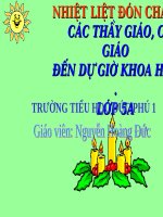 CO QUAN SINH SAN CUA THUC VAT CO HOA