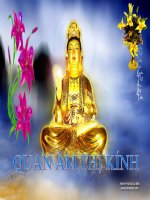 quan am thi kinh( cuc chuan)
