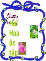 Hai hoa on tap hoc ki 1 Khoi 6