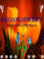 cơ quan phân tích thị giác