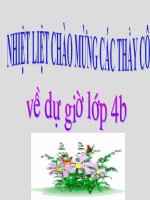 Tập đọc: Trống đồng Đông Sơn