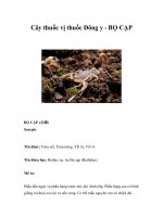 Cây thuốc vị thuốc Đông y - BỌ CẠP docx