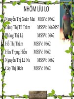 moi truong sinh thai