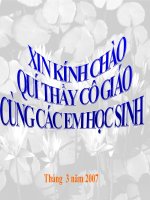 Bài 24: Tình hình văn hóa TKXVII - XVIII