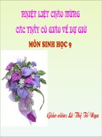 moi truong va nhan to sinh thai