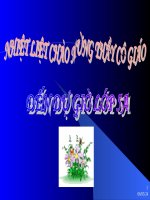 Ôn tập phân số