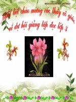 Tiéng đàn lớp 3