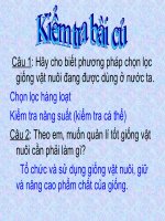 QUANG SPCN BAI 34 CN 7