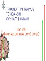 BÀI SẮT  -THAO GIẢNG CỤM