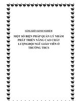 skkn một số biện pháp quản lý nhằm phát triển đội ngũ giáo viên ở trường thcs