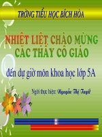khoa hoc 5: phong tranh tai nan giao thong duong bo