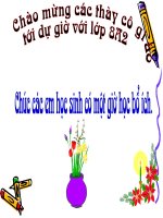 Tiêt 60. Bất pt bậc nhất một ẩn