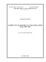 Nghiên cứu sự hấp phụ của than hoạt tính dạng siêu mịn