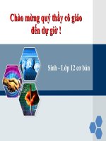 Tiết 21: di truyền y học