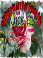 1 so loai vat song duoi nuoc