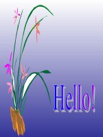 Toán 6:Số thập phân số phần trăm