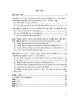 ỨNG DỤNG MÔ HÌNH VÀ LÝ THUYẾT MẠNG NHIỀU CỰC ĐỂ PHÂN TÍCH VÀ TỔNG HỢP CÁC MẠCH ĐIỆN TUYẾN TÍNH