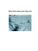 Dùng thuốc kháng sinh chống nấm pot